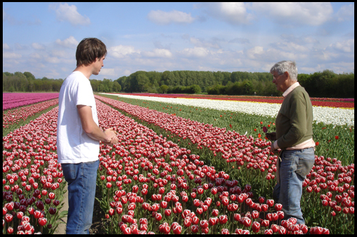  - Wilbrord-Tulip-Field-2009