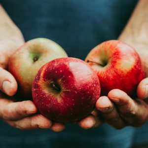 Join Us TODAY at the Organic Apple Festival!