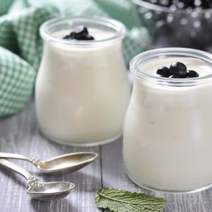 Homemade Nondairy Yogurt